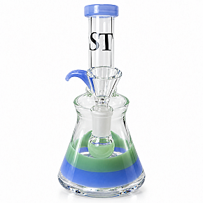 ST | Clematis (16cm)
