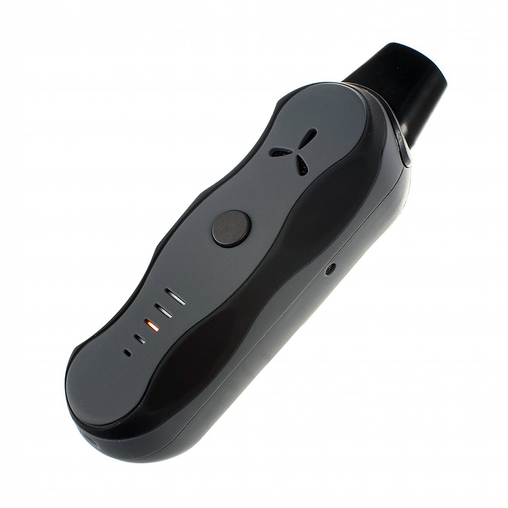 AirVape Xs GO