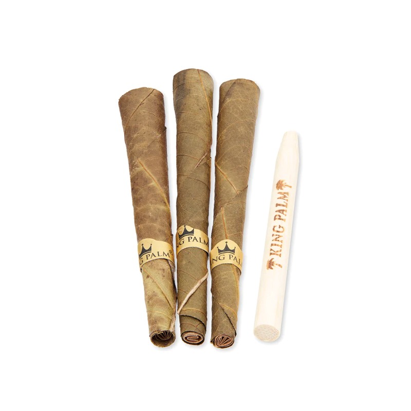 King Palm | Dragon Fruit King-Size Cones (3-pack)